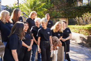 Plan Hero Team having fun