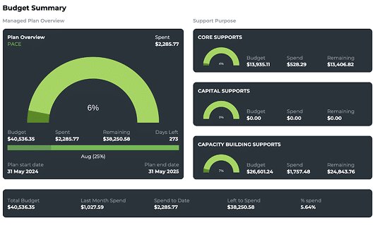 planhero app participant budget dashborad