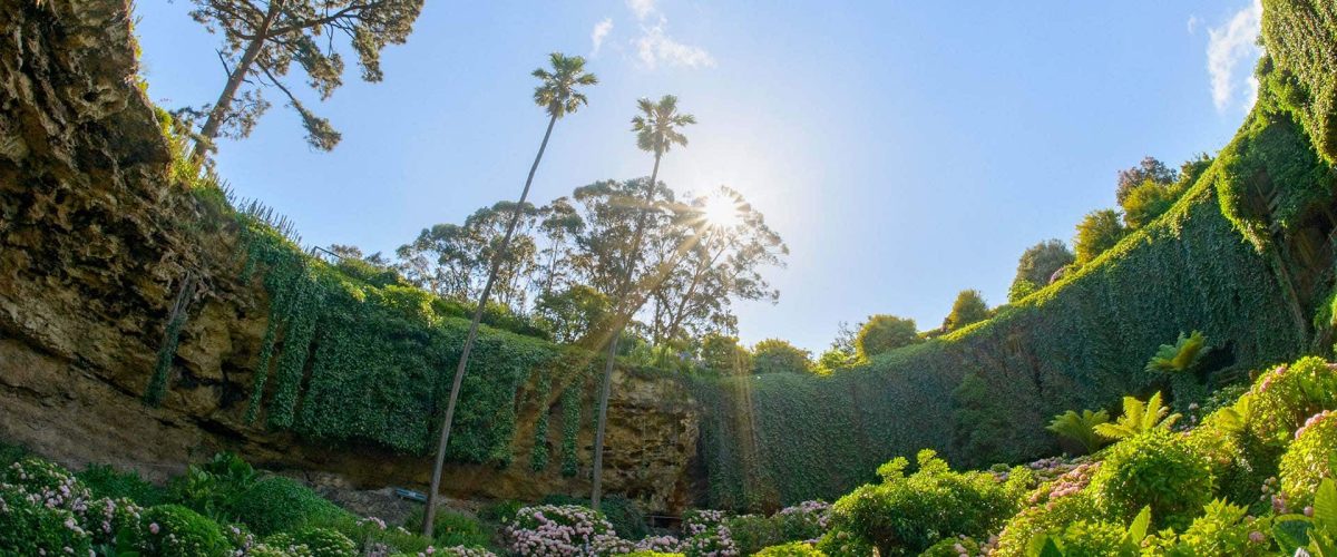 Umpherston Sinkhole garden in Mount Gambier, South Australia, surrounded by lush greenery and flowers.
